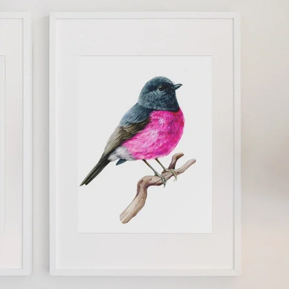 Pink Robin Bird Wall Art Watercolor Illustration Print Poster Card Unframed - Picture 3 of 7